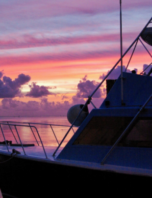 Fishing Charters