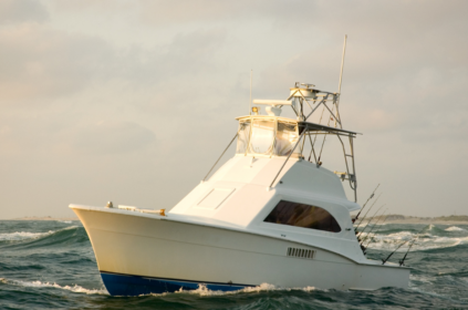 Offshore Fishing Charters