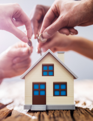 Real Estate Investment