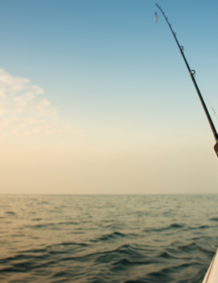Offshore Fishing