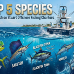 Top 5 Species You’ll Catch on Stuart Offshore Fishing Charters This Season