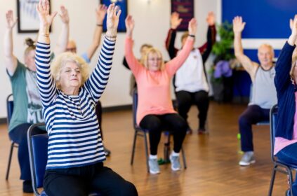 Armchair Exercise DVD
