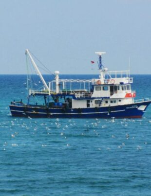 lower keys reef fishing charters