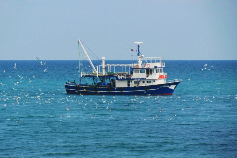 lower keys reef fishing charters